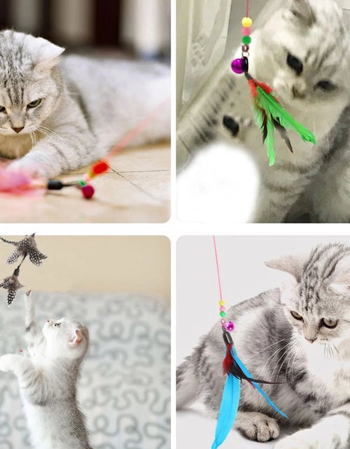 Load image into Gallery viewer, 11 PCS Cat Feather Toy, Multiple Styles Feather Refills for Cat Toys, Replacement Feather Toy with Bell Refills, Interactive Catcher Teaser and Funny Exercise for Kitten or Cats
