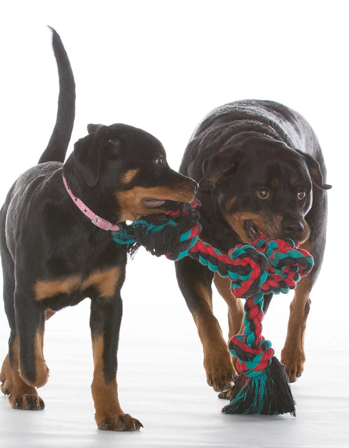 Load image into Gallery viewer, Flossy Chews Cottonblend 5 Knot Tug Rope Dog Toy Extra Large 36", Assorted Colors
