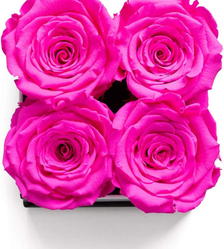 | Roses in a Box | Real Roses Last a Year or More (White Square 4Ct, Radiant Pink)