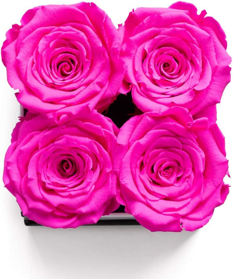 | Roses in a Box | Real Roses Last a Year or More (White Square 4Ct, Radiant Pink)