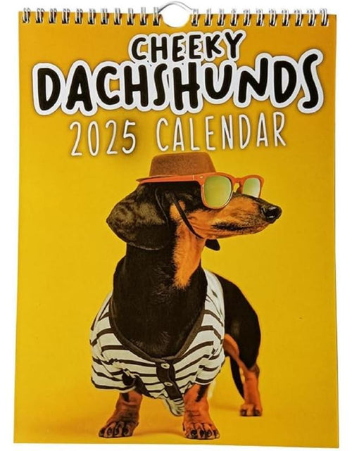 Load image into Gallery viewer, 2025 Calendar: Schedule Planner, Ideal Halloween &amp; Christmas Gift
