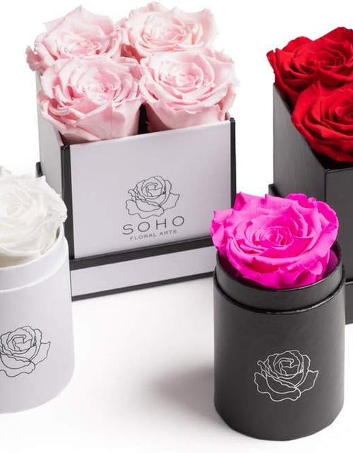 Load image into Gallery viewer, | Roses in a Box | Real Roses Last a Year or More (White Square 4Ct, Radiant Pink)
